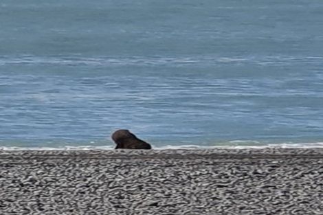 Photo of property in 44 Hakatere Drive, Wakanui, Ashburton, 7777