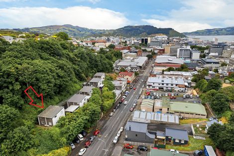Photo of property in 66b Maclaggan Street, Dunedin Central, Dunedin, 9016