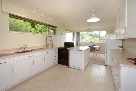 Photo of property in 99 Bedford Street, Saint Clair, Dunedin, 9012