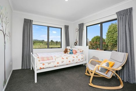 Photo of property in 41 Luck At Last Road, Maungatautari, Cambridge, 3494