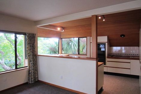 Photo of property in 43 Pacific Street, Roslyn, Dunedin, 9010