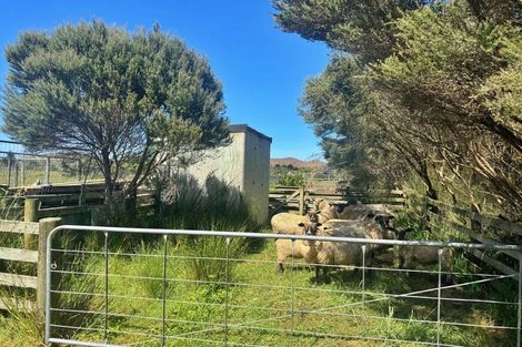 Photo of property in 83 Mcmanus Road, Houhora, Kaitaia, 0484