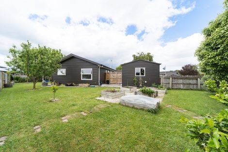 Photo of property in 137 Oxford Street, Ashhurst, 4810