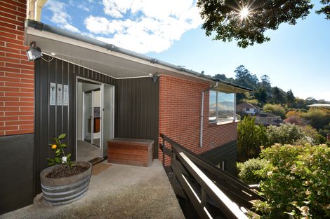 Photo of property in 99 Bedford Street, Saint Clair, Dunedin, 9012