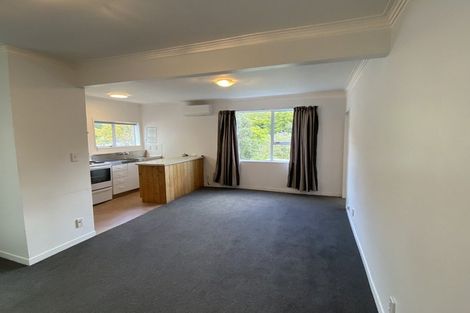 Photo of property in 160 Hanson Street, Newtown, Wellington, 6021