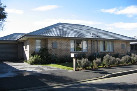 Photo of property in 29 Hornbrook Street, Waltham, Christchurch, 8023