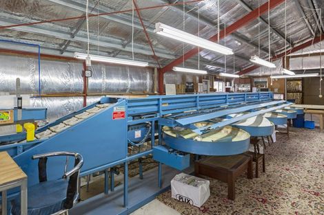 Photo of property in 225 Hoeka Road, Matangi, Hamilton, 3284