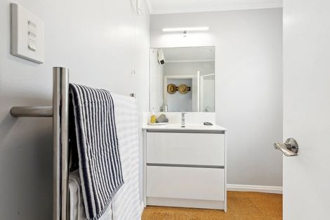 Photo of property in 141 Daniell Street, Newtown, Wellington, 6021