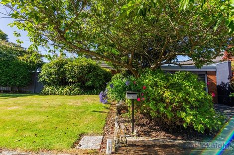 Photo of property in 34 Strathean Avenue, Avonhead, Christchurch, 8042