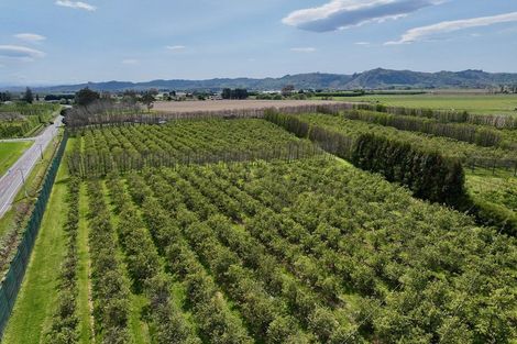 Photo of property in 19 Pilmer Road, Makauri, Gisborne, 4071