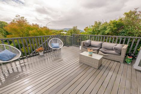 Photo of property in 66a Mailer Street, Mornington, Dunedin, 9011