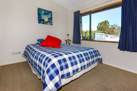 Photo of property in 29 Brook Street, Southbridge, 7602