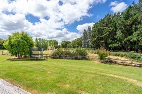 Photo of property in 461 Mill North, Roslyn Bush, Invercargill, 9876