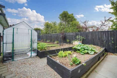 Photo of property in 101 Ward Street, Waverley, Invercargill, 9810