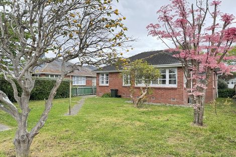 Photo of property in 8 Guiness Street, Avalon, Lower Hutt, 5011