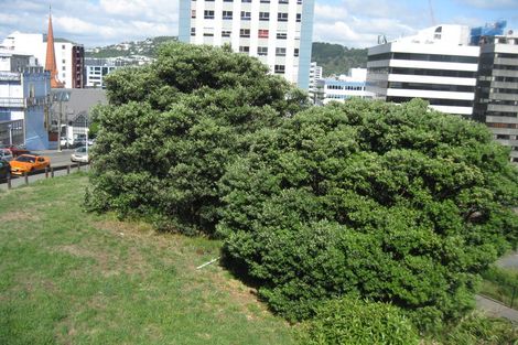 Photo of property in 2/27 Macdonald Crescent, Te Aro, Wellington, 6011