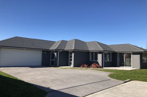 Photo of property in 97 Watkins Road, Cambridge, 3434