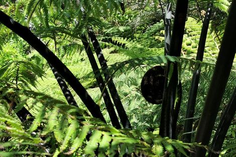 Photo of property in 1b Whatuwhiwhi Road, Karikari Peninsula, 0483