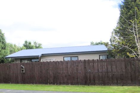 Photo of property in 29 Wylie Street, Gate Pa, Tauranga, 3112