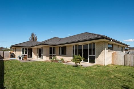 Photo of property in 17 Alma Street, Renwick, 7204