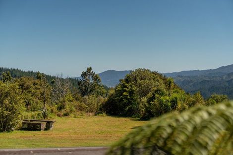 Photo of property in 820 The 309 Road, Waiau, Coromandel, 3581
