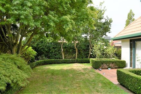 Photo of property in 101b Clarence Street, Hamilton Lake, Hamilton, 3204