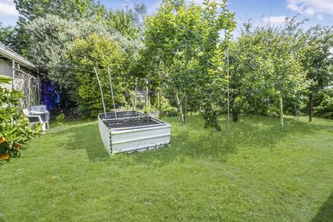 Photo of property in 55 Knighton Road, Hillcrest, Hamilton, 3216