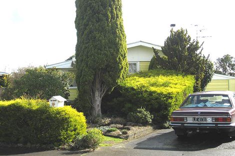 Photo of property in 39 Daniell Street, Solway, Masterton, 5810