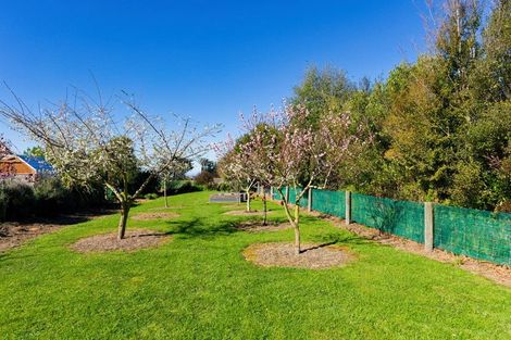 Photo of property in 238a Mount Fyffe Road, Kaikoura, 7300