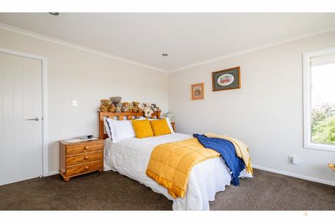 Photo of property in 21 Hewlings Street, Geraldine, 7930