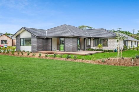 Photo of property in 12 Park Rise, Mangawhai Heads, Mangawhai, 0505