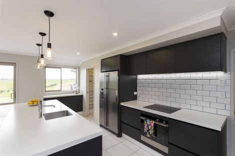 Photo of property in 161 Mount Taylor Drive, Feilding, 4775