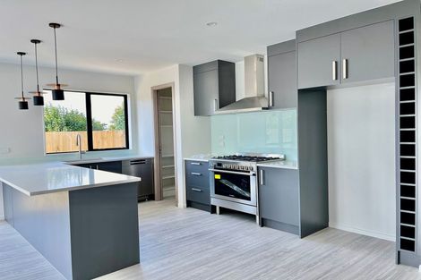 Photo of property in 28 Farrell Road, Pukekohe, 2120