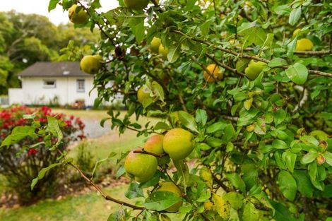 Photo of property in 535 Wellington Road, Marton, 4710