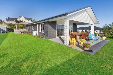 Photo of property in 19 Magnolia Crescent, Tawhero, Whanganui, 4501