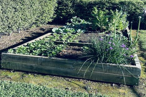 Photo of property in 101a Logan Road, Pukekawa, Tuakau, 2696