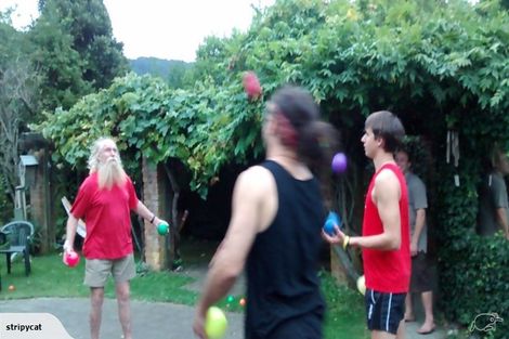 Photo of property in Jugglers Rest Backpackers, 8 Canterbury Street, Picton, 7220