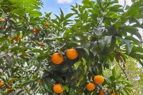 Photo of property in 15 Leinster Avenue, Raumati South, Paraparaumu, 5032