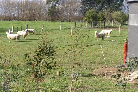 Photo of property in 77 Lochiel Branxholme Road, Lochiel, Winton, 9781