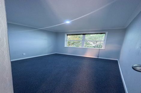 Photo of property in 16 Lavas Place, Mount Wellington, Auckland, 1060