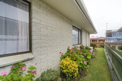 Photo of property in 237b Ruahine Street, Roslyn, Palmerston North, 4414