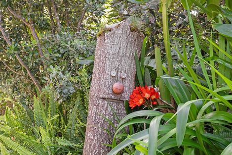 Photo of property in 6 Thelma Road, Mangawhai Heads, Mangawhai, 0505