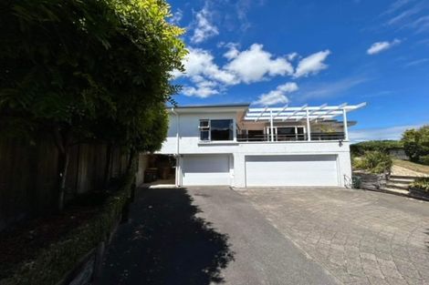 Photo of property in 27 Riverview Terrace, Fairfield, Hamilton, 3214