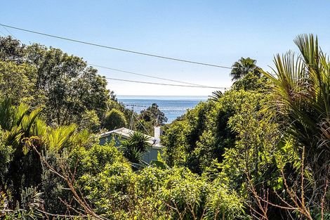 Photo of property in 24 Miro Road, Palm Beach, Waiheke Island, 1081