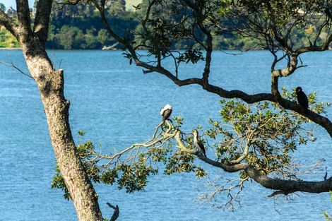 Photo of property in 1 Eleventh Avenue, Tauranga, 3110