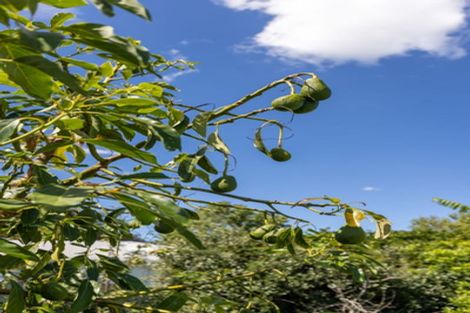 Photo of property in 19 Bracken Avenue, Te Aroha, 3320