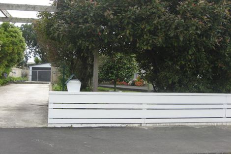 Photo of property in 46 Tararua Street, Pahiatua, 4910