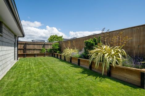 Photo of property in 222 Taylor Pass Road, Witherlea, Blenheim, 7201