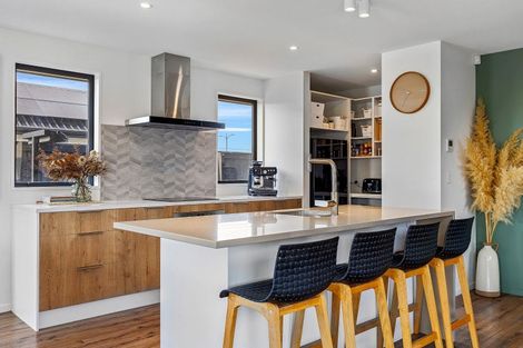 Photo of property in 53 Mills Road, Marshland, Christchurch, 8051