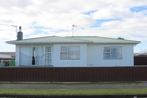 Photo of property in 3 Vogel Street, Levin, 5510